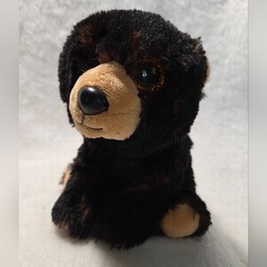 KODI Ty Beanie Babies Black Bear Plush Stuffed Toy Alaskan 2017 NO HANGTAG